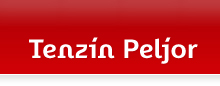 Tenzin Peljor